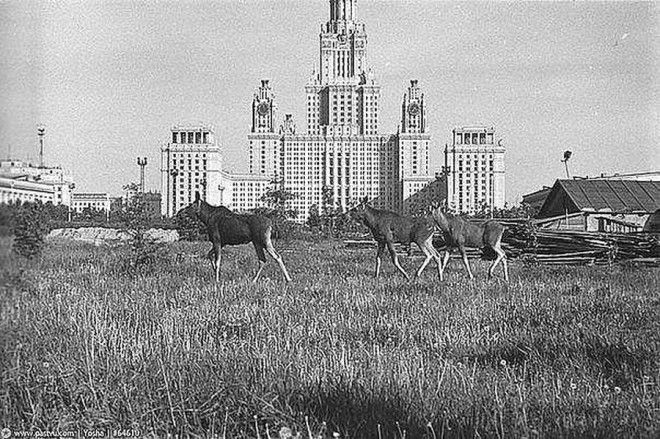 Советские ретрофотографии