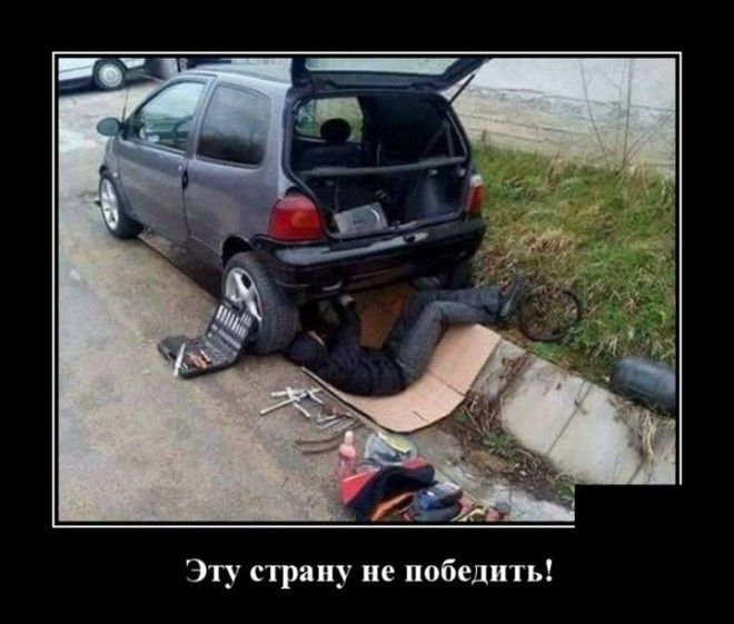 Демотиваторы