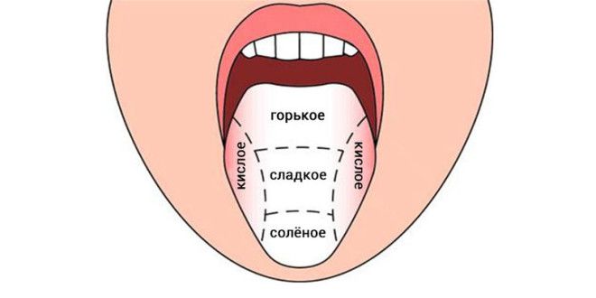 почему человек любит сырое мясо. Смотреть фото почему человек любит сырое мясо. Смотреть картинку почему человек любит сырое мясо. Картинка про почему человек любит сырое мясо. Фото почему человек любит сырое мясо