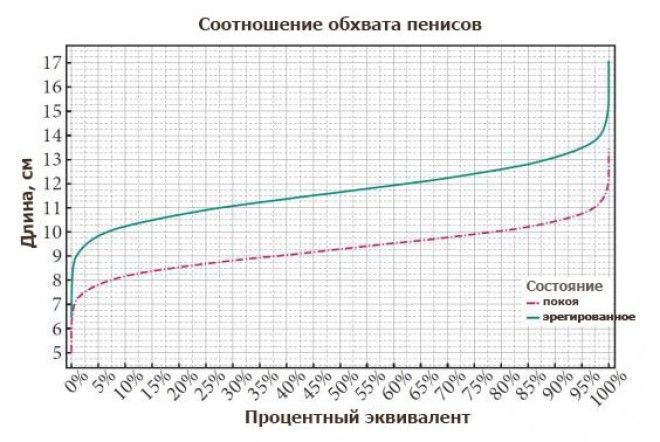 Вот какой средний размер мужского достоинства и он меньше чем вы думаете