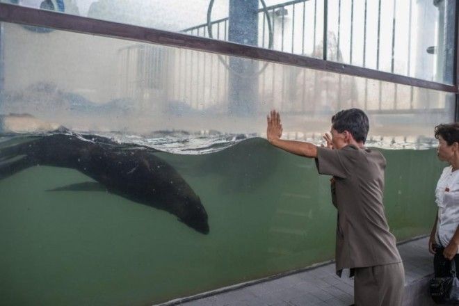 В Северной Корее все не так уныло