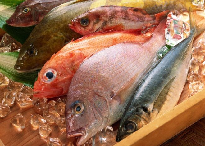 ТОП 10 полезных продуктов для продления жизни - морская рыба