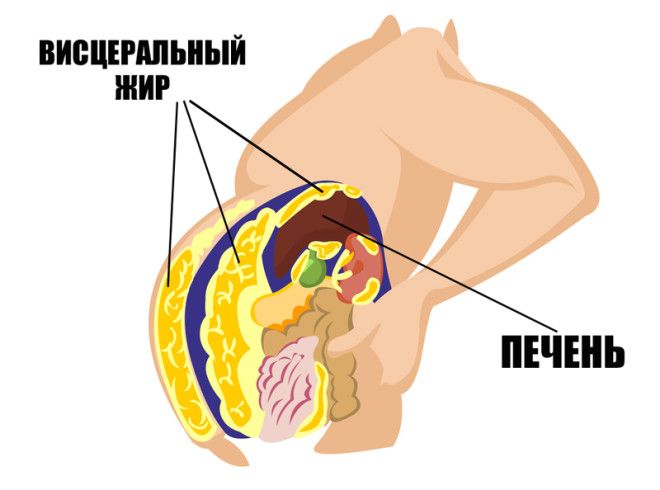 очистка печени