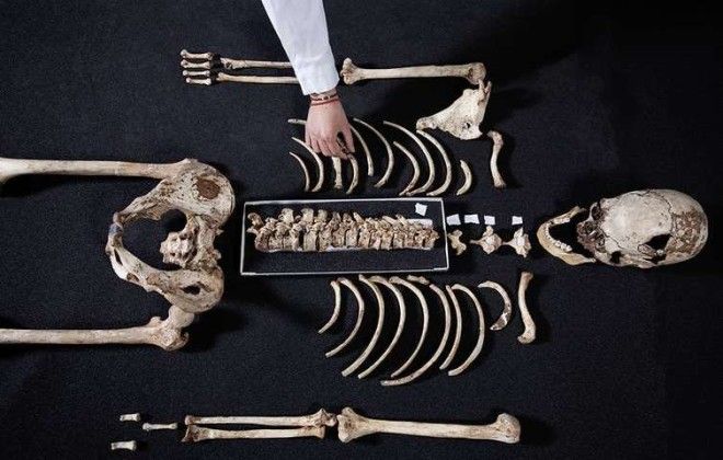 Five surprising things DNA has revealed about our ancestors
