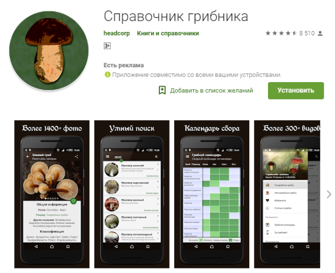Приложения для смартфонов в помощь грибникам
