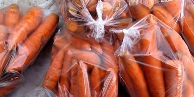 Как хранить морковь в пакетах: Выложите морковь в пластиковые пакеты и хорошенько завяжите их