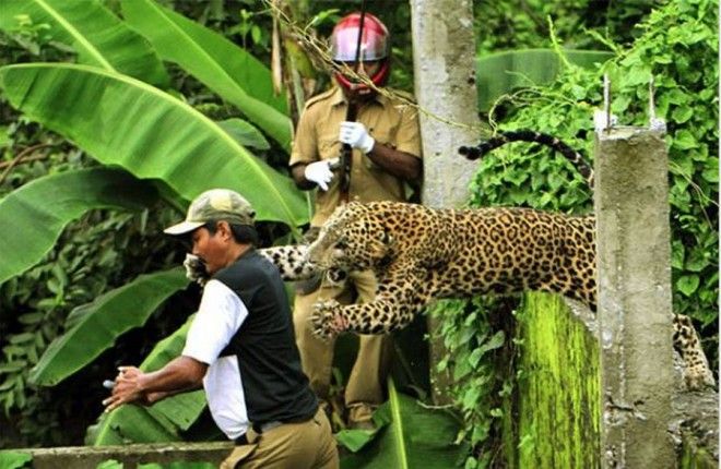 24 фото, сделанных в самый критический момент