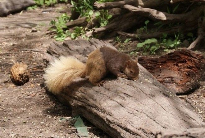 20 удивительных фотографий со всего непредсказуемого мира