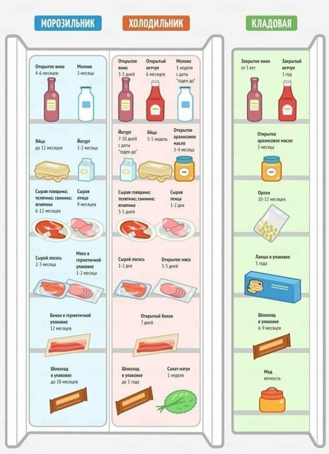 Сколько еда живет в холодильнике Фабрика идей Шпаргалки важное готовка интересное кулинарные советы кухня продукты