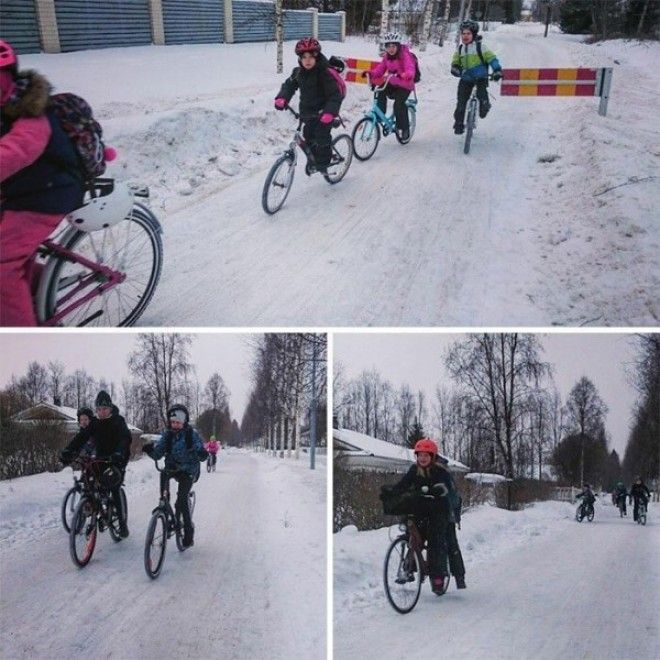 Финские школьники ездят в школу на велосипедах при температуре 17 C
