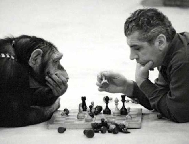 Человек против шимпанзе