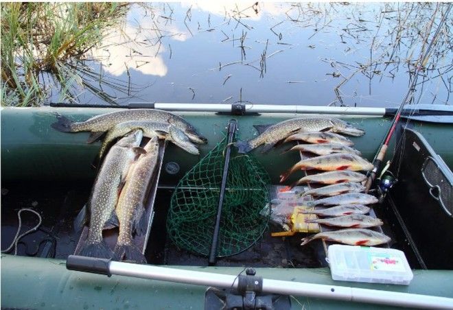 Летняя рыбалка в Карелии - незабываемый отдых и отличный клёв