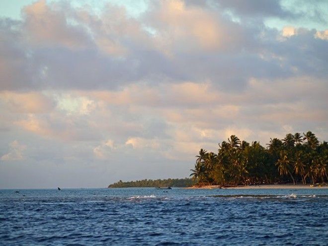 62 потомка одного мужика живут на острове, до которого нужно плыть на лодке целых 9 дней