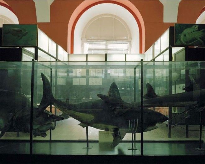 Затерянные во времени и никому уже не интересные музеи России