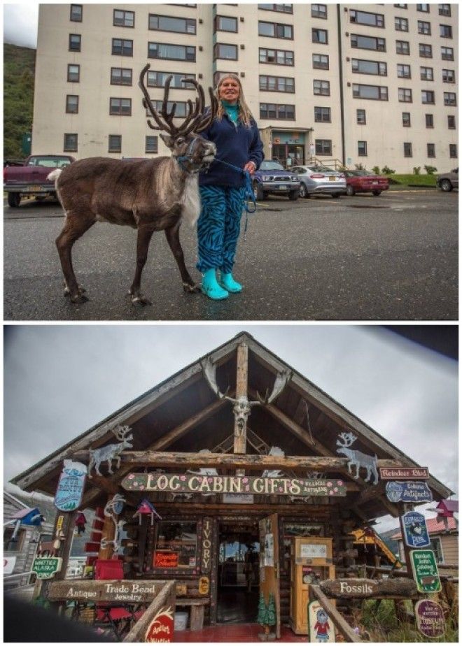 Предприимчивые горожане неплохо зарабатывают на туристах (Уиттиер, Аляска). | Фото: macos.livejournal.com.