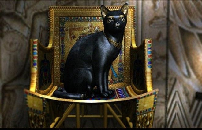 В Древнем Египте был культ кошки. /Фото: voronezhvet.ru
