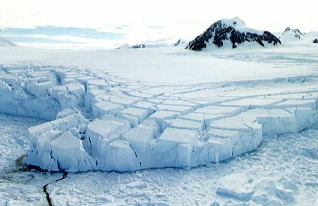 Основная причина таянья льдов – деятельность человека