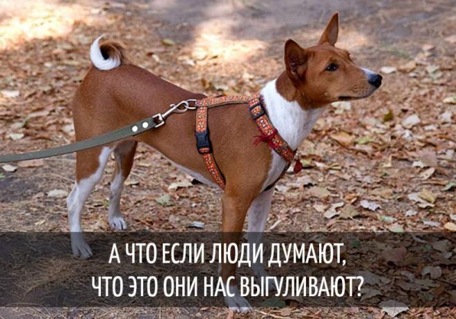 Похоже на правду? :-)