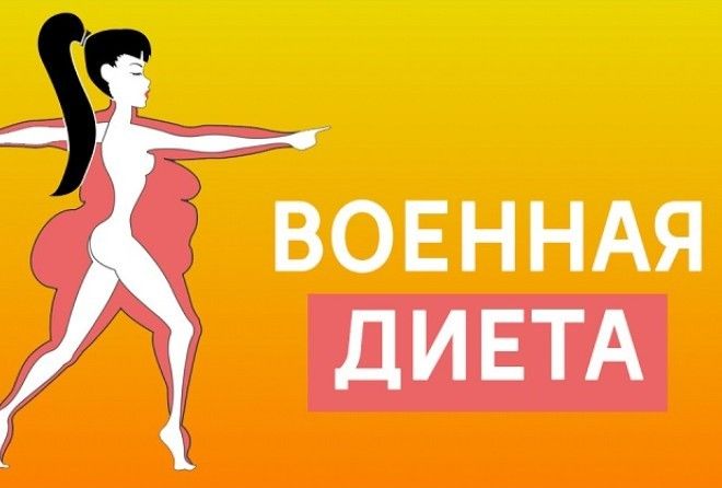 Надежный план питания.