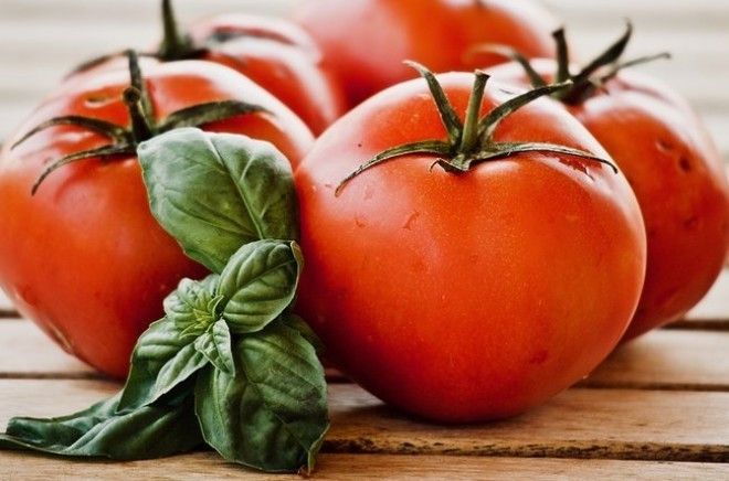 Спелые, зеленые и перезрелые томаты нужно хранить по-разному