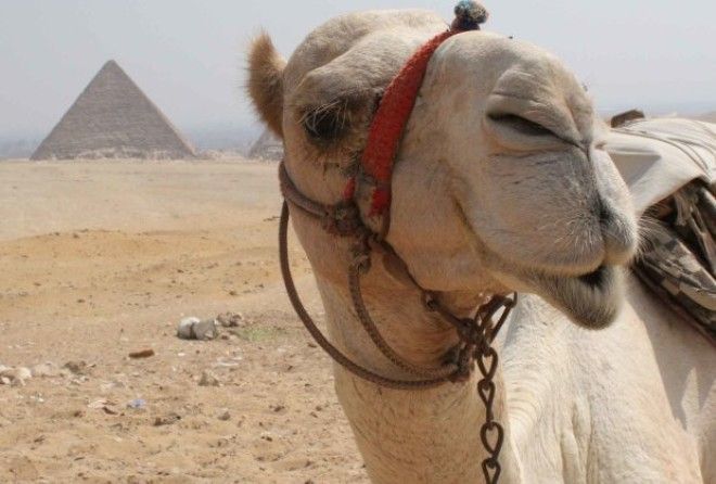 Древние египтяне использовали электричество для строительства своих пирамид