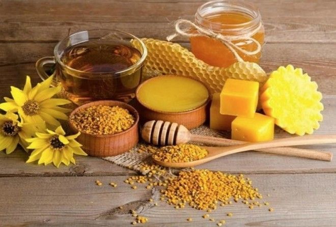 Все продукты, вырабатываемые пчелами, обладают полезными свойствами.